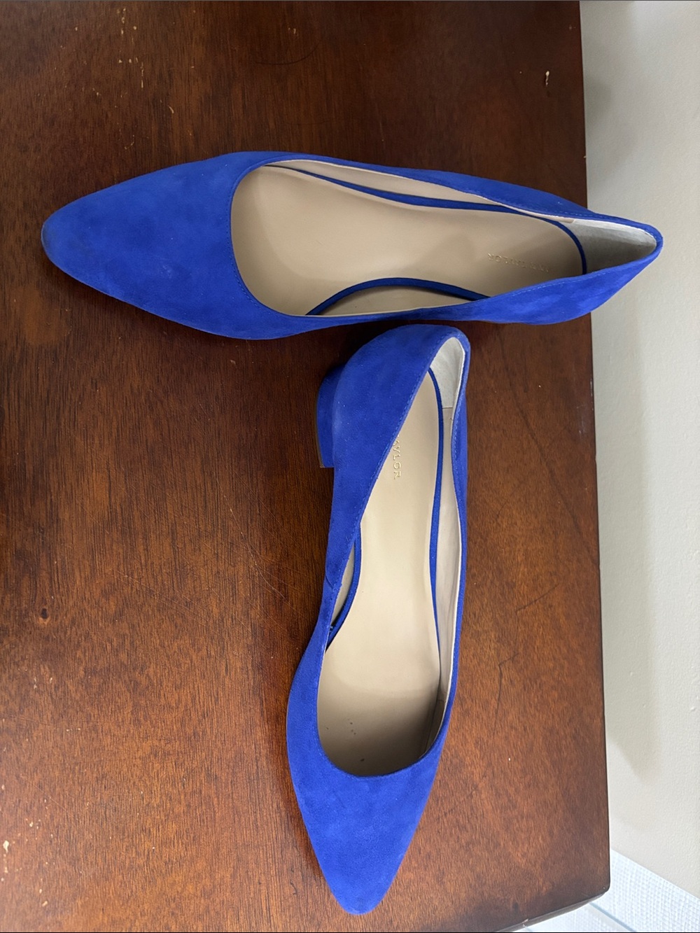Classic Pointed-Toe Suede Flats in Cobalt Blue